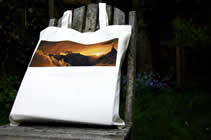 gownbag