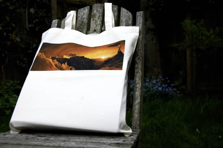 gownbag1