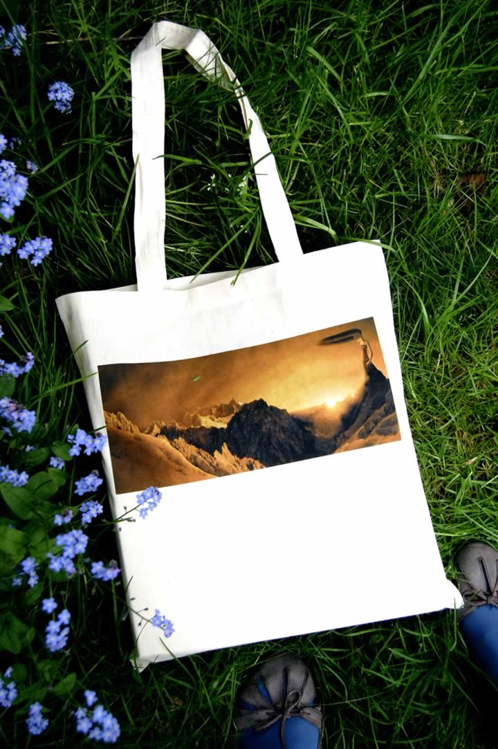 gown bag 2