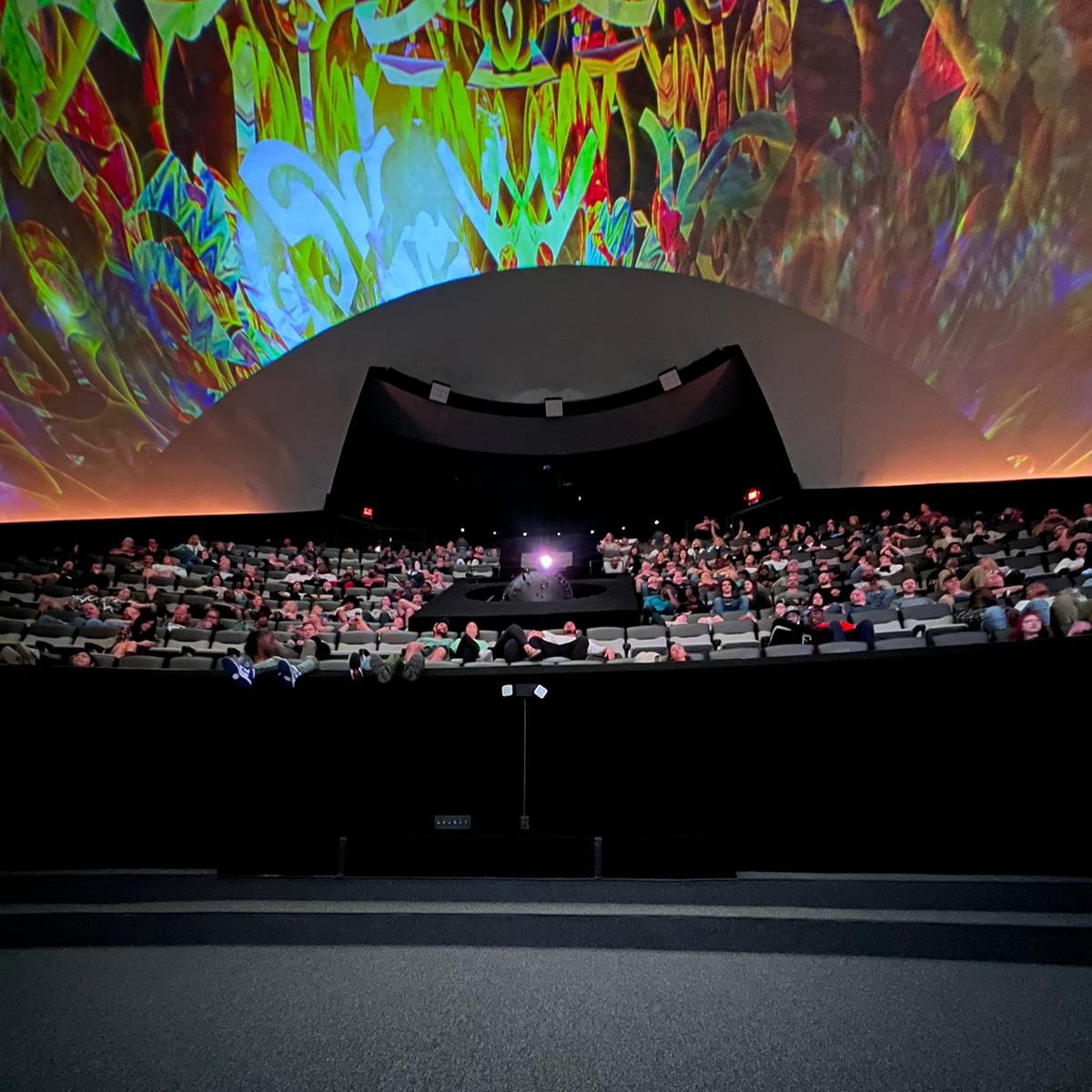 Mesmerica Audience